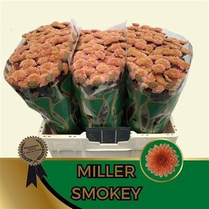 Chr S Miller Smokey