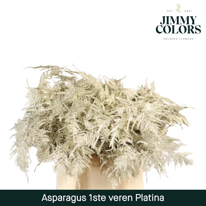 <h4>Aspa 1ste veren + glitter Platina + glitter</h4>