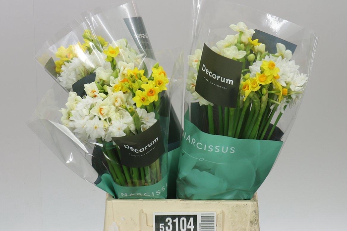 <h4>Narcissus Ta Mix</h4>