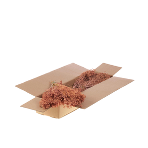 Broom Bloom Bunch Sb Pink Misty