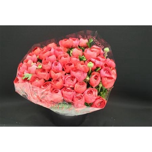 Cloni Super Fragolino