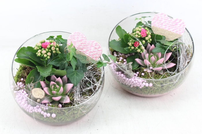 <h4>arr2 MB - Glas halve maan x2 - roze</h4>