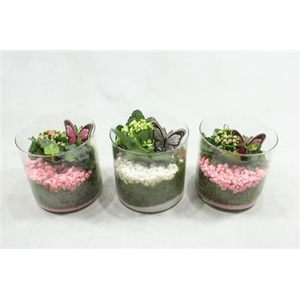 4894 15X15 CILINDER RO/WIT