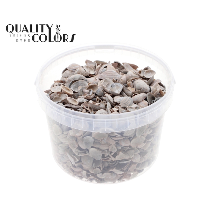 <h4>Shells north sea 3 ltr Frosted White</h4>