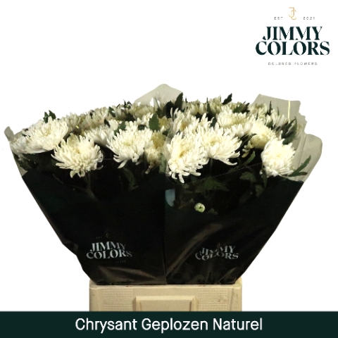 <h4>Chr G Topsin naturel Naturel</h4>