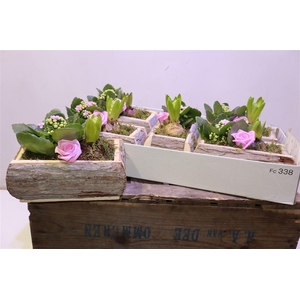 arr8 Arr Pl In Boomschors Bakje