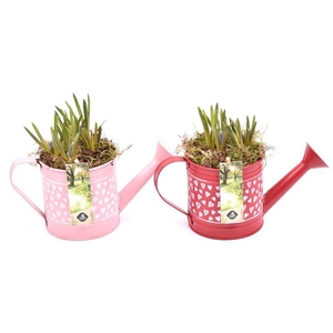 Zink gieter hart decor 24x10cm