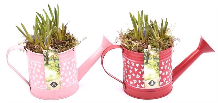 <h4>Zink gieter hart decor 24x10cm</h4>