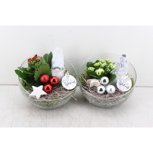 arr. PL - Glas schuin gnome