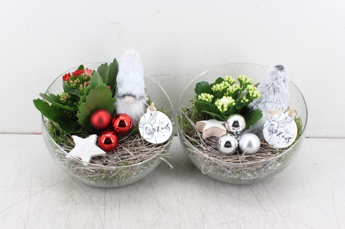 arr. PL - Glas schuin gnome
