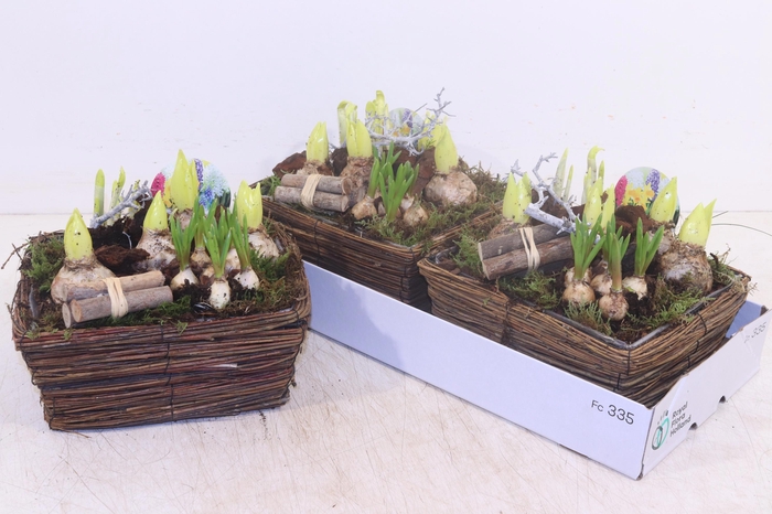 <h4>ARR BOL KNOLGEWAS</h4>