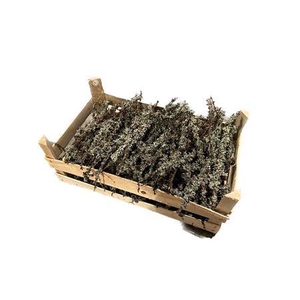 Crate Larix L50W30H20