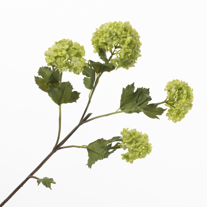 <h4>Viburnum Green FL440370GRN</h4>