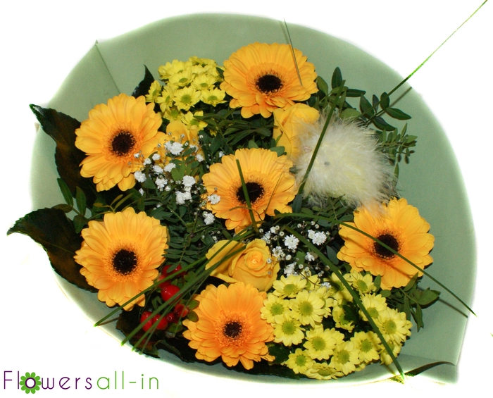 <h4>P202305 Geel</h4>
