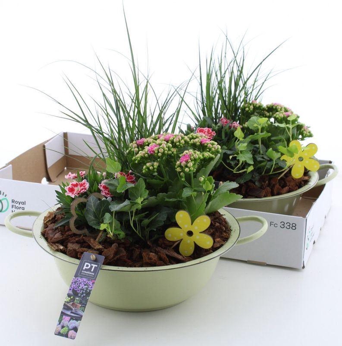 <h4>ARR TUINPLANTEN</h4>