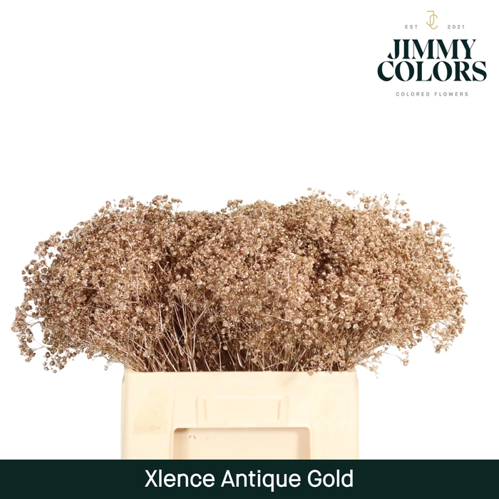 <h4>Gyps Xlence L60 Mtlc. Antique Gold</h4>