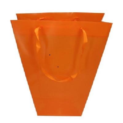 Promo Clear 24/11*26cm