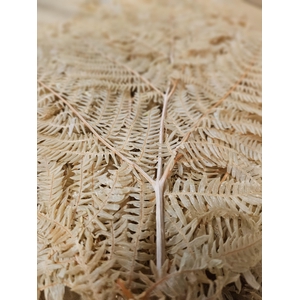 GESTABILISEERD VAREN LICHTBRUIN