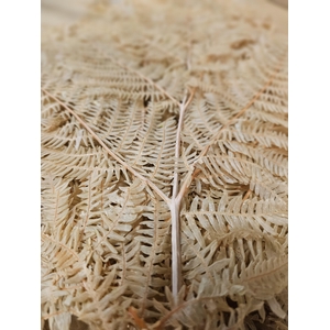 GESTABILISEERD VAREN LICHTBRUIN