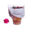 Kalanchoe Rosalina paars Royal paars