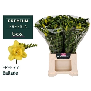 FR DU BALLADE
