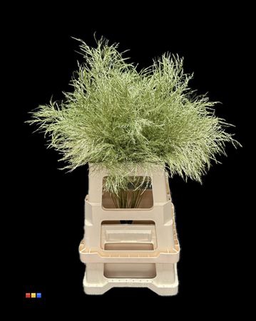 Treefern Metallic Olive