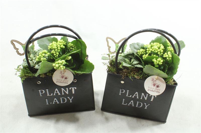 <h4>1.KE01 BLACK BAGG</h4>