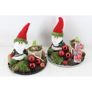 arr4 Hyacint MB - Plate rand gnome 1p