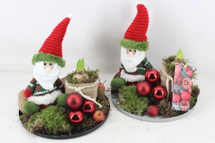 <h4>arr4 Hyacint MB - Plate rand gnome 1p</h4>