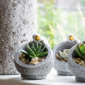 TRULY Succulent mix, Martian