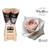 R GR BRUT! x20