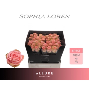 R Gr Sophia Loren Allure Berg