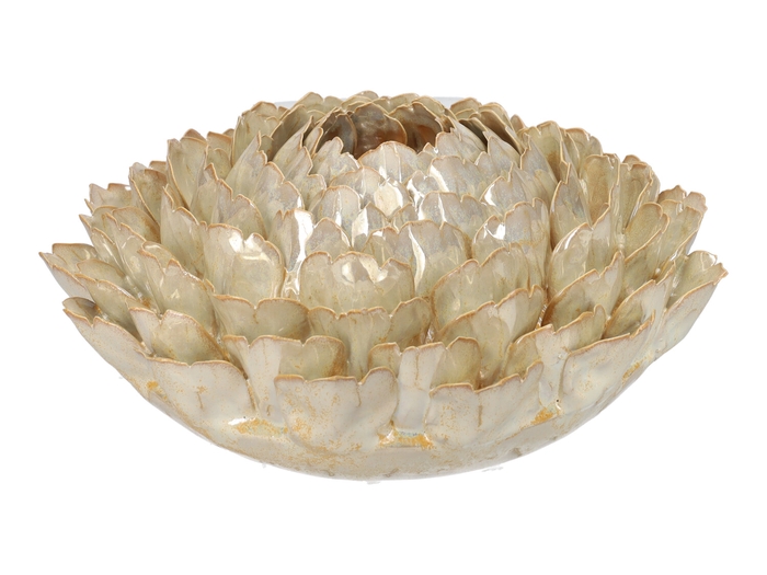 <h4>DF03-731110800 - Vase Lotus d25xh10.5 beige</h4>