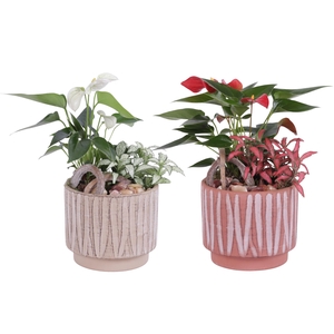 Yearround Arr. Indoor Ceramic Naturel Touch NT667 Ø14cm 2PP