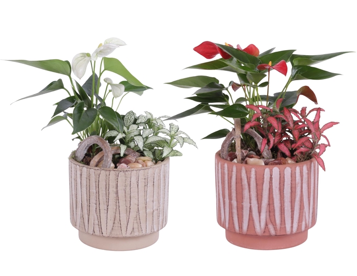 <h4>Yearround Arr. Indoor Ceramic Naturel Touch NT667 Ø14cm 2PP</h4>