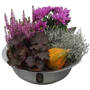 Arr.   Tuinplanten L%
