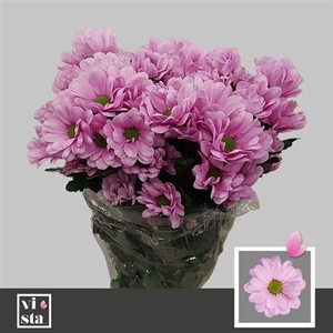 Chr T Precious ''new''