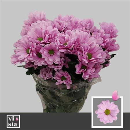 <h4>Chr T Precious ''new''</h4>