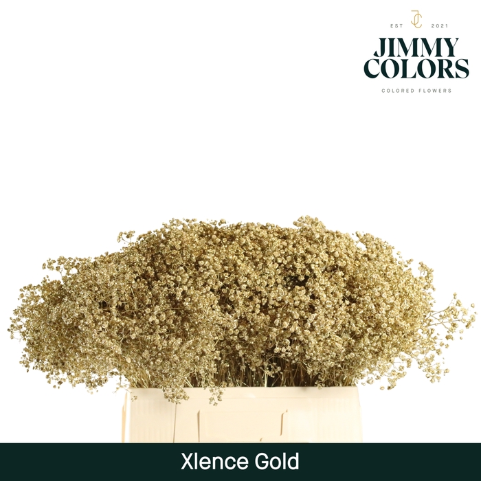 <h4>Gyps xlence L60 Mtlc. Gold</h4>