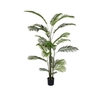 Silk Plant Areca Palm L220D120