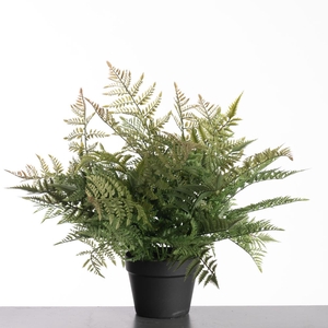 Af Leather Fern Pot 61cm Green