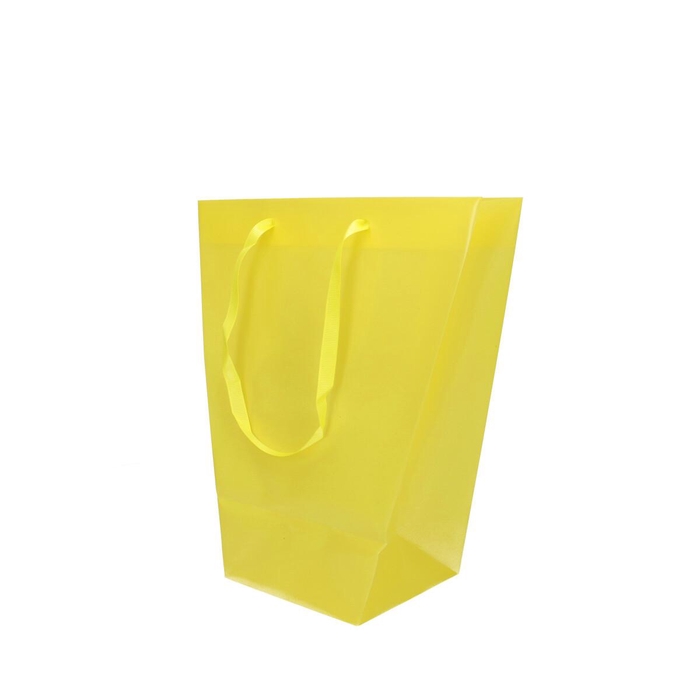 <h4>Promo Clear 24/11*26cm</h4>