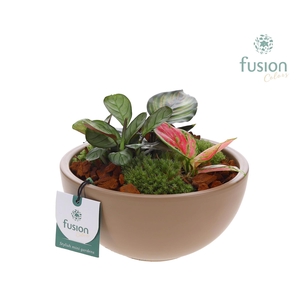 Schaal keramiek Moon Medium blush pink mat met Trendy Groen Planten Arrangement