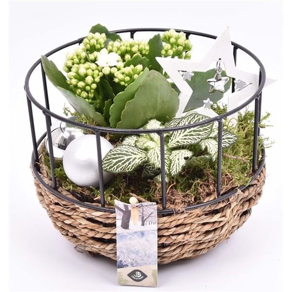 Gaasmand met touw 18cm