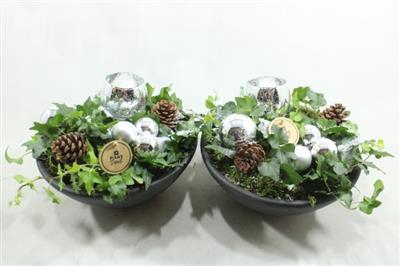 <h4>8262 ZILVER EBBI SCHAAL</h4>