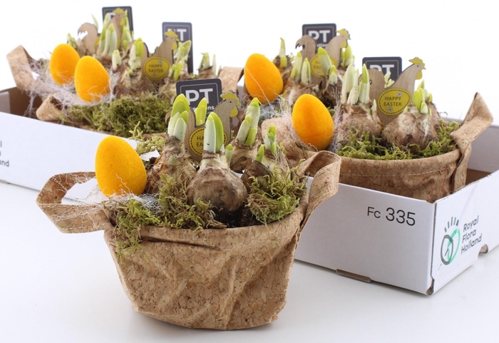 <h4>ARR N TETE A TETE</h4>