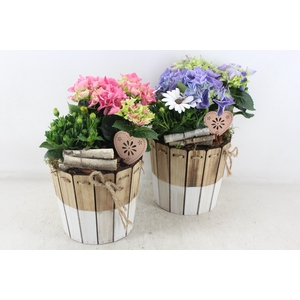 arr4 Outdoor MB - Hort. mix Duo pot 285/5