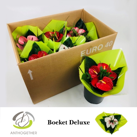<h4>Deluxe Boeket 5 bloem Lime Hoes 6</h4>