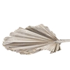 Dried Palm King Spear Xl L110.0w45.0 Frosted