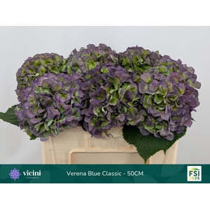 HYDR M CH VERE BL CL